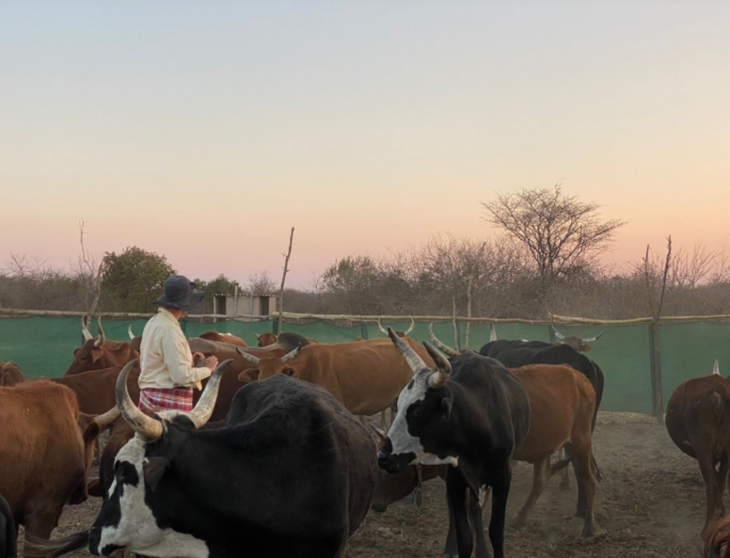 Communities explore new farming practices to conserve land, grazing