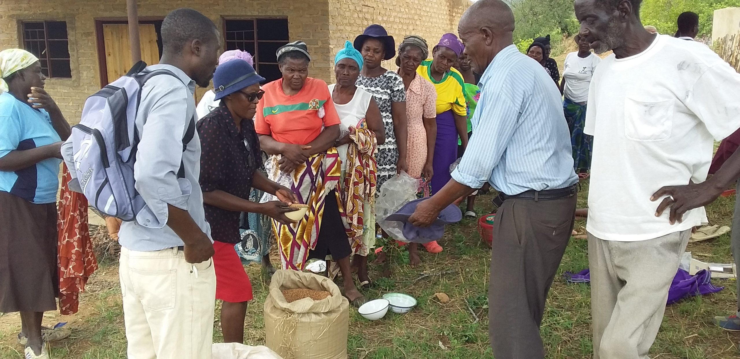 Small grains answer to worsening food insecurity