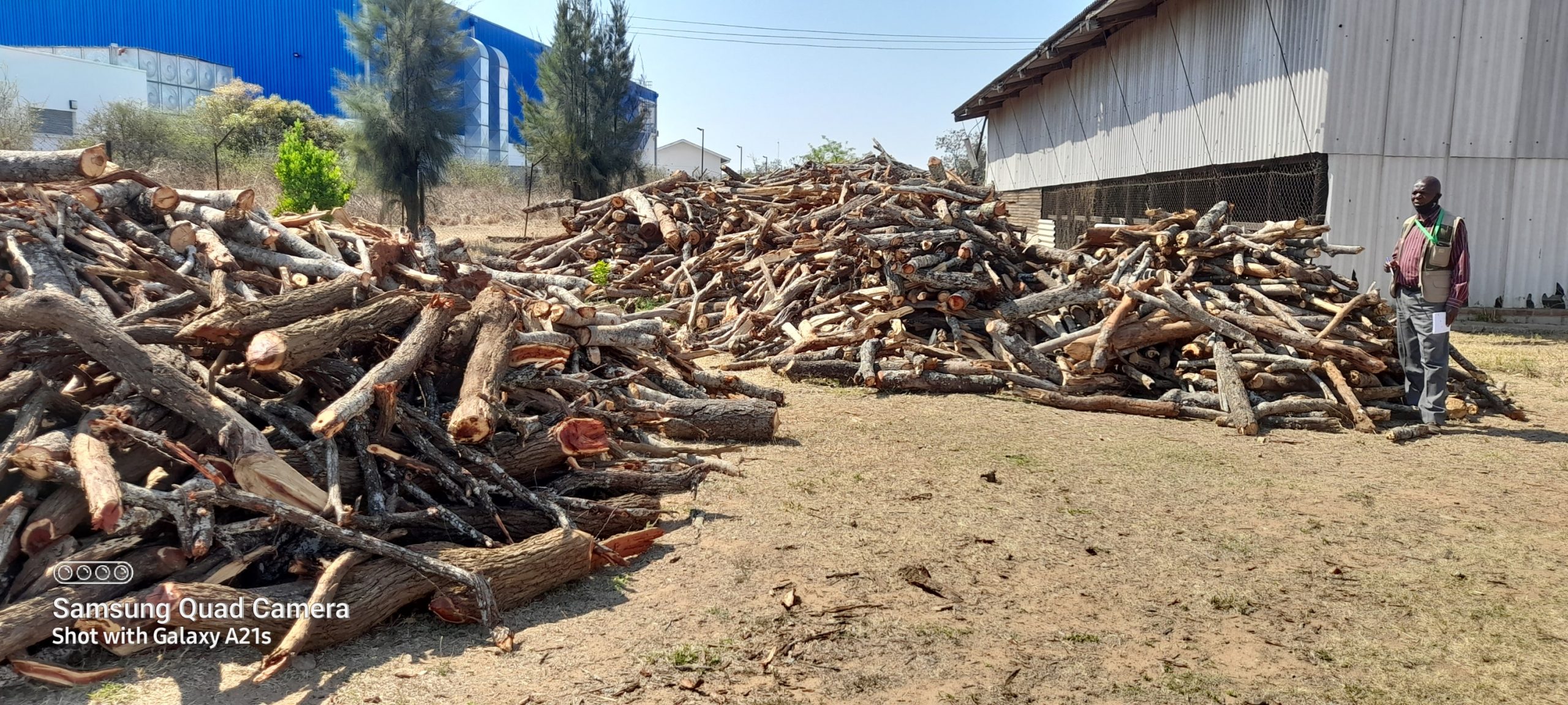 Deforestation: Zim police steps up efforts to conserve forests