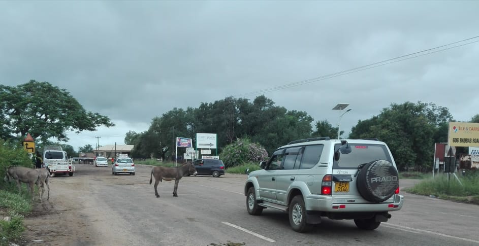 Unpacking Chiredzi Town Council’s environmental action plan