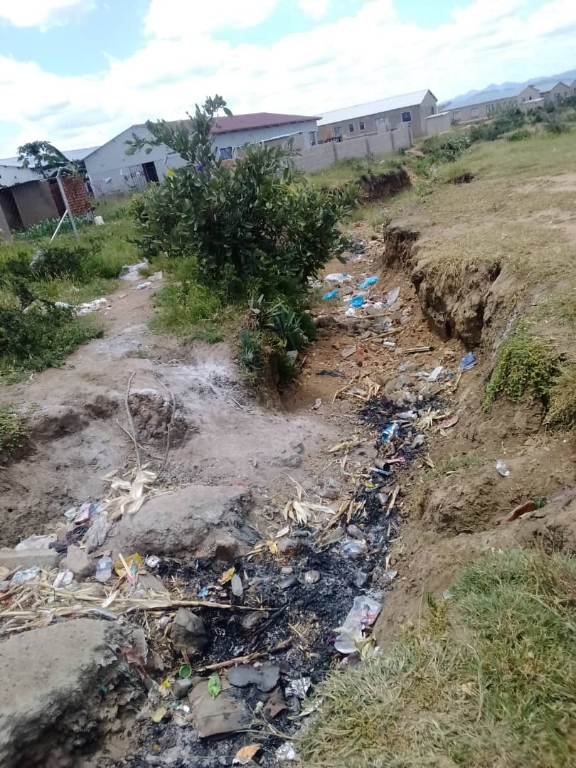 Mhandamabwe residents move to reclaim problematic gully