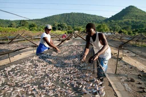 Lake Kariba overfishing: Zimbabwe Zambia agree to act