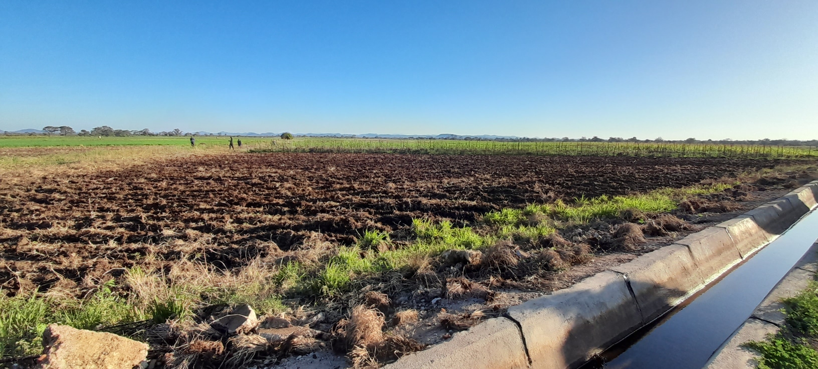 Mushandike Irrigation Scheme shelters community from climate shocks