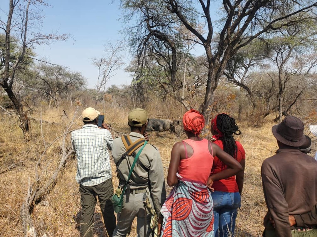 Small white rhino conservation project ignites hope in disadvantaged community
