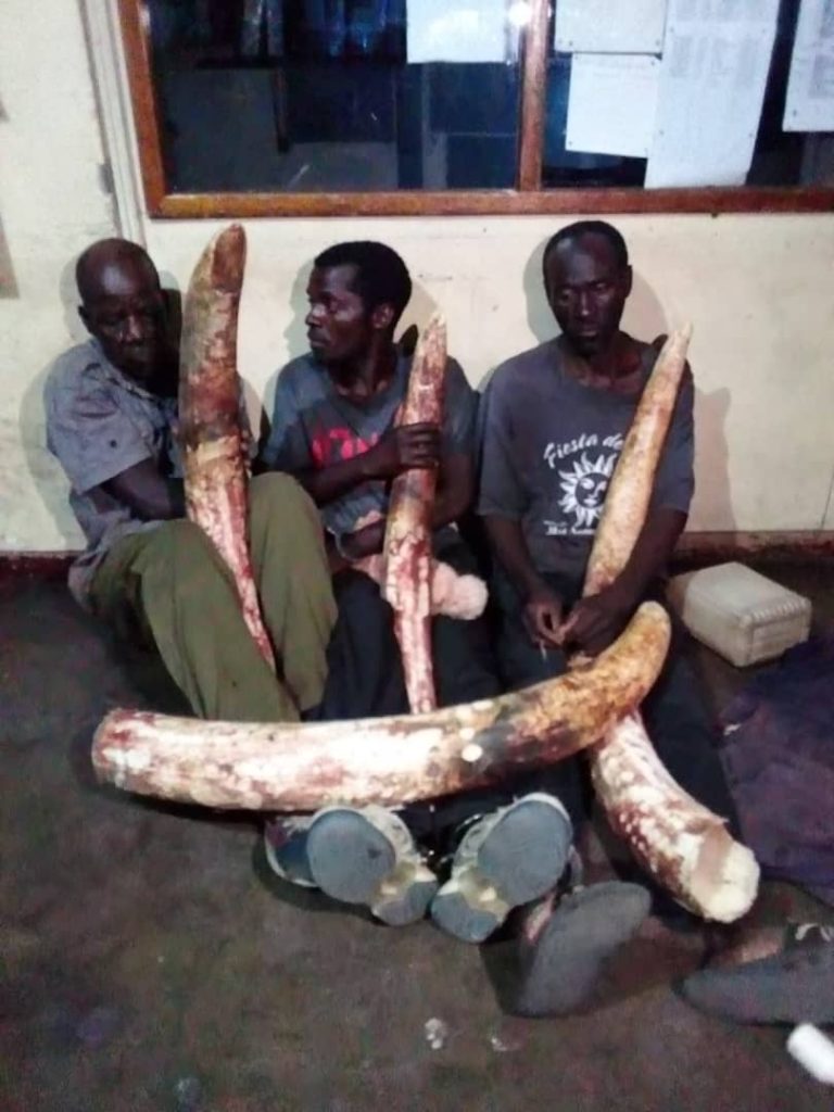 Ex-convicts join authorities in fight against poaching