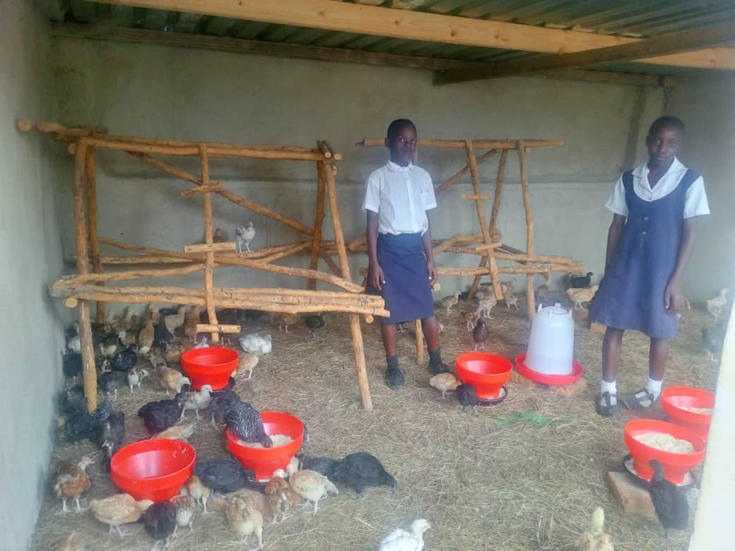 Dry spell threatens school agricultural projects