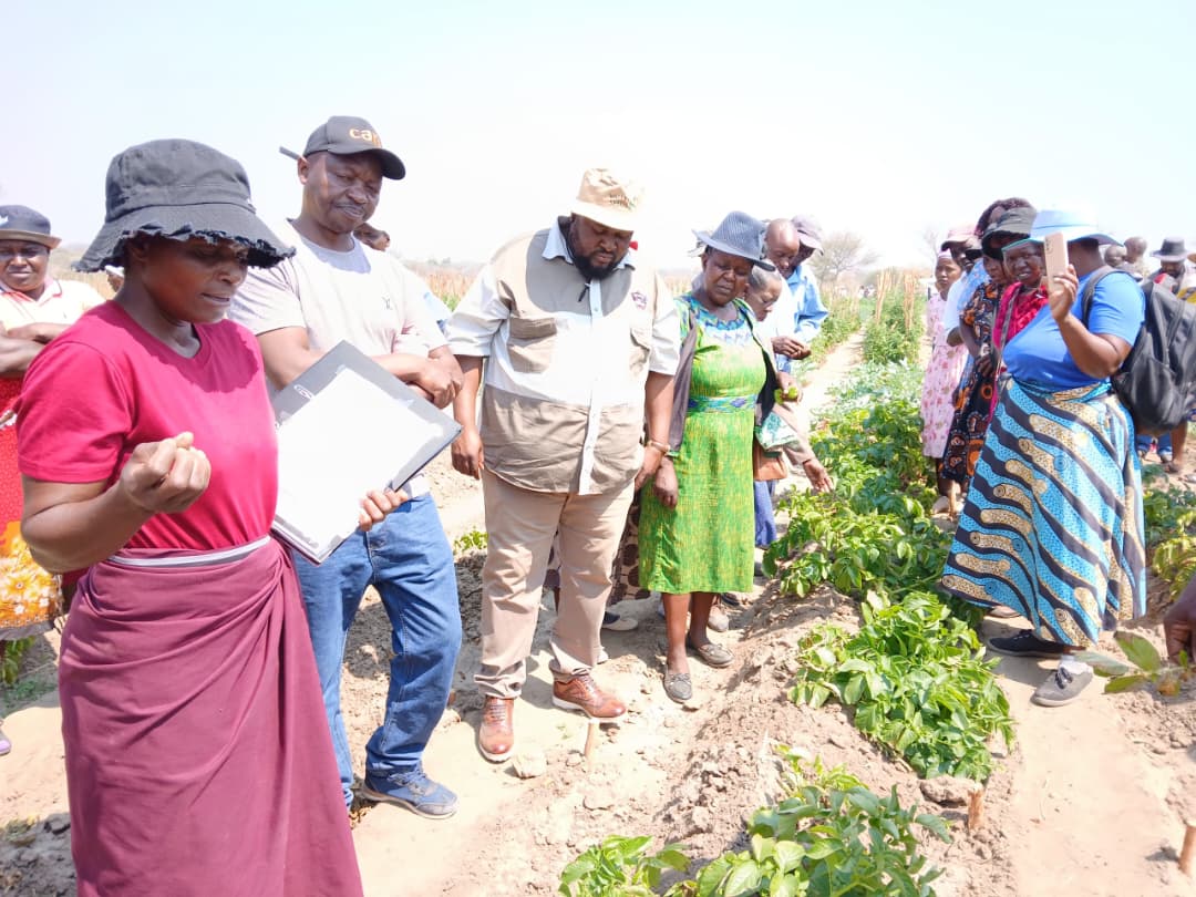 Takunda CARE empowers Chivi with solar-powered gardens