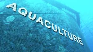 ZFPA strengthens aquaculture through Fish4ACP programme