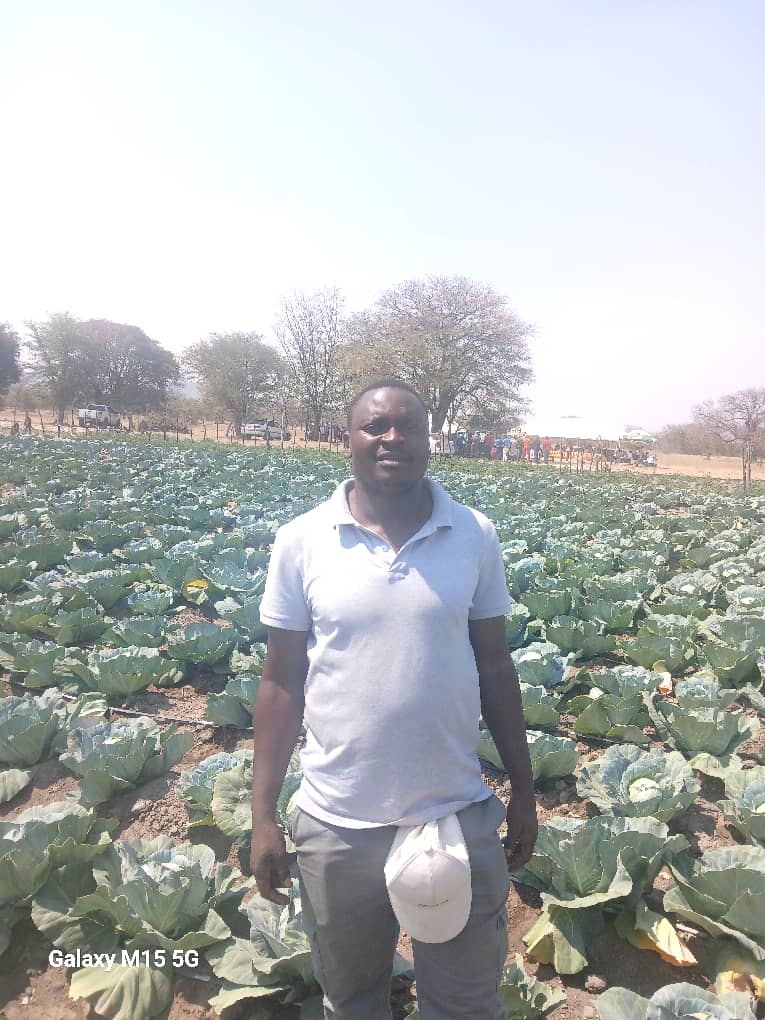 Smart farming sparks hope in drought-prone Chivi