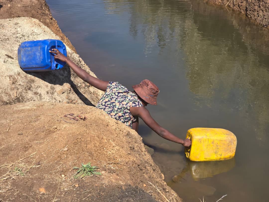 ZHRC demands urgent action on Bikita Minerals rights violations.