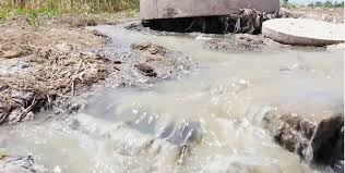 A second chance for Lake Chivero: Stafford mission to revive Harare’s lifeline