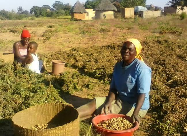 Women farmers beside the lithium mine